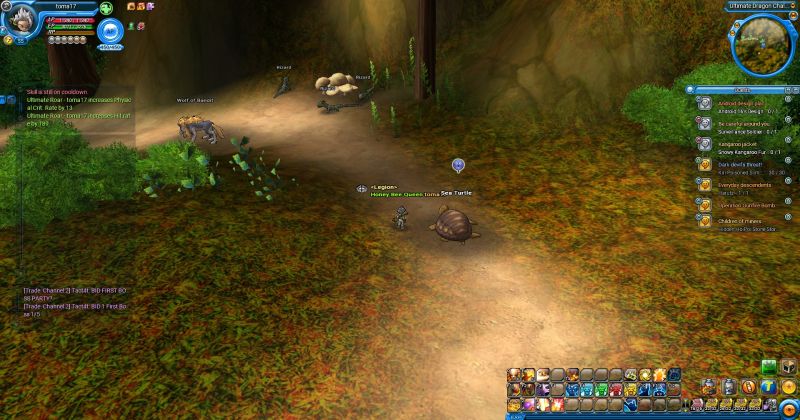 File:Turtle.jpg